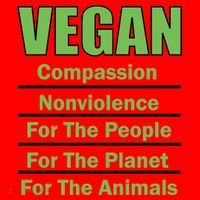 Vegan Message Santa Hat thumb 1