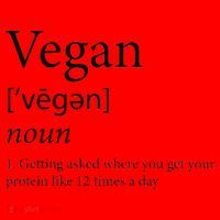Vegan Protein Definition Santa Hat thumb 1