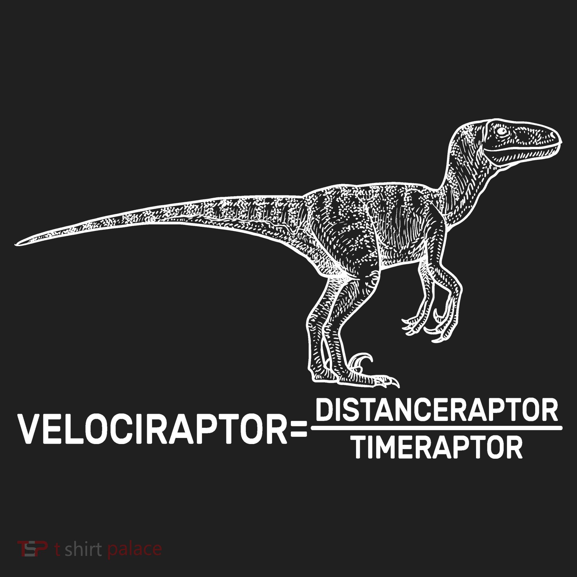 Velociraptor Equals Distanceraptor Timeraptor Women's Sweatshirt