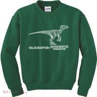 Velociraptor Equals Distanceraptor Timeraptor Kids Sweatshirt thumb 0
