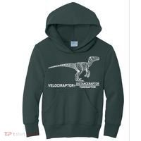 Velociraptor Equals Distanceraptor Timeraptor Kids Hoodie thumb 0