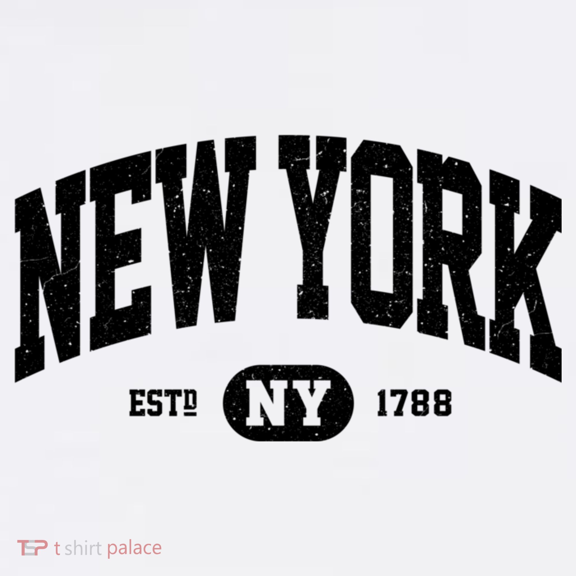 Vintage Established New York Ny T-Shirt