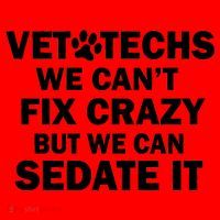 Vet Techs We Can't Fix Crazy But Can Sedate It Santa Hat thumb 1