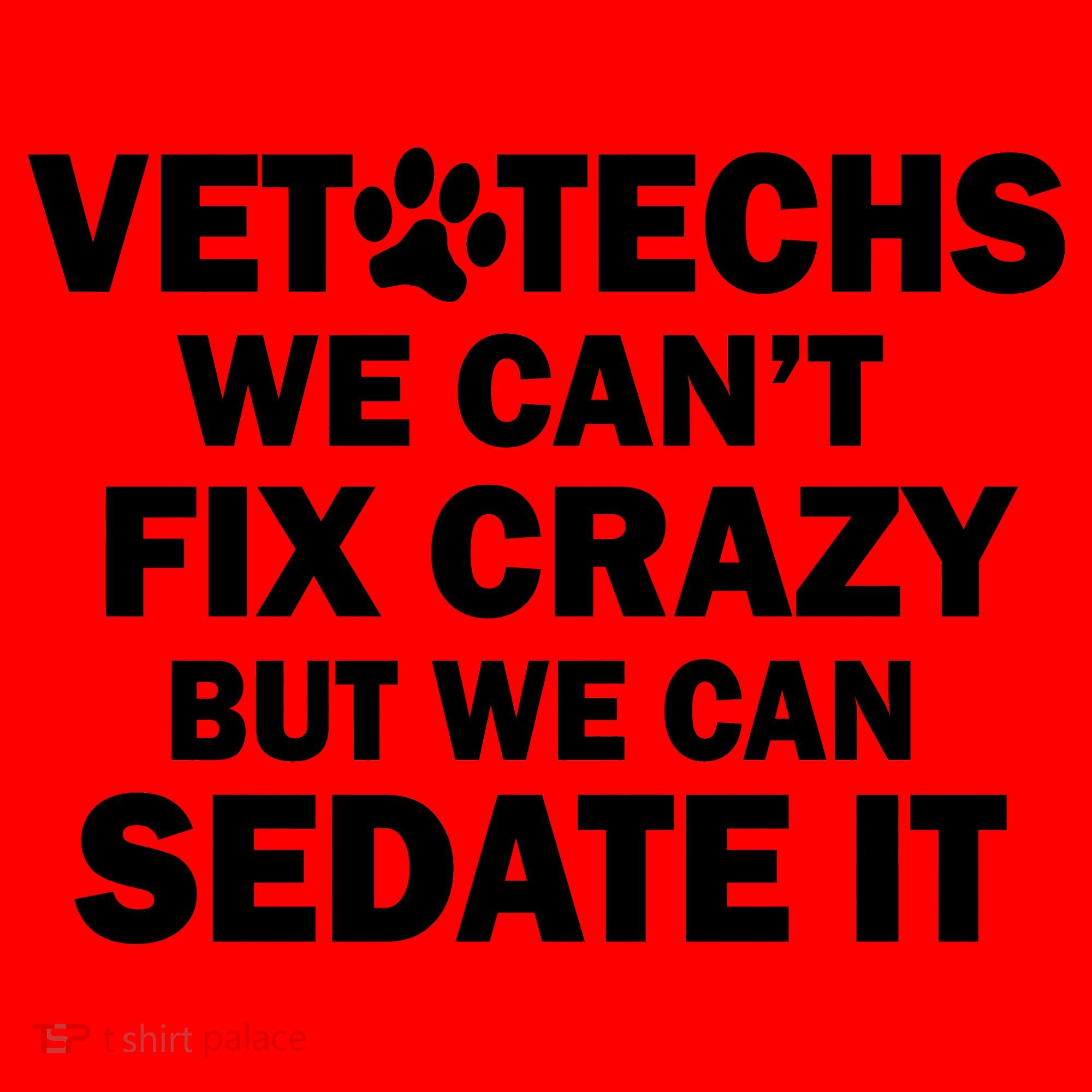 Vet Techs We Can't Fix Crazy But Can Sedate It Santa Hat