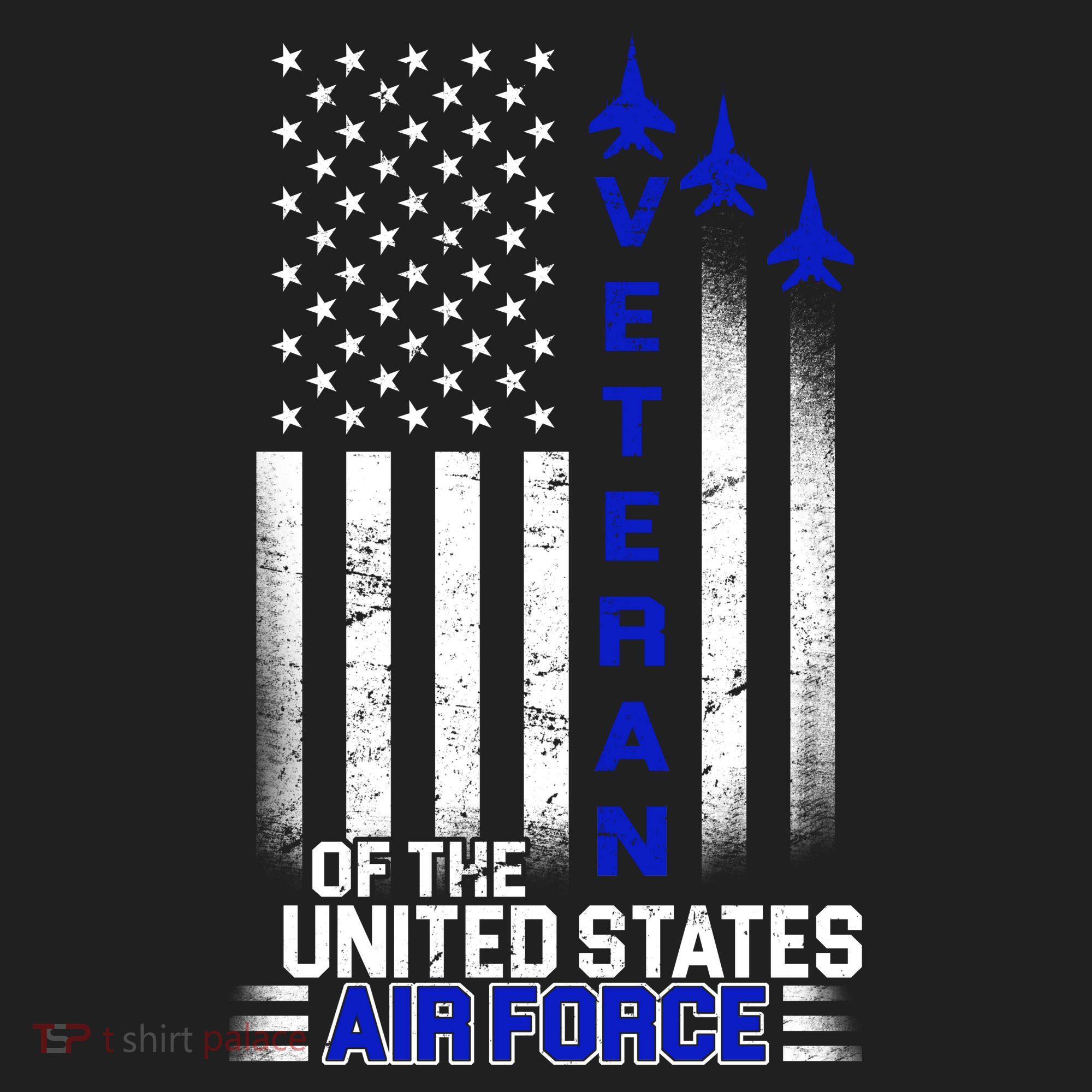 Veteran Of The United States Air Force Hat