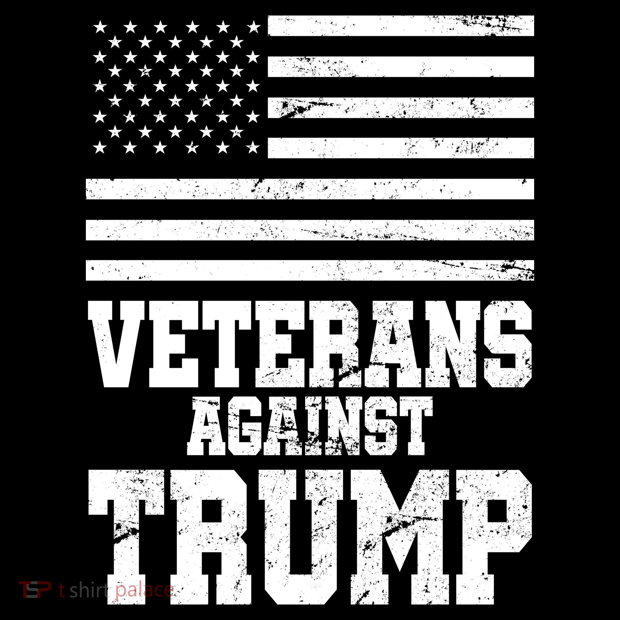 Veterans Against Trump Coaster