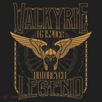 Valkyrie F6 1520cc Motorcycle Legend Biker Hat thumb 2
