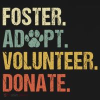 Vintage Foster Adopt Volunteer Donate Animals Rescue Shelter T-Shirt thumb 7