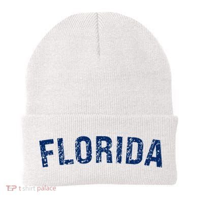 Vintage Florida Florida Orange Retro Beanie