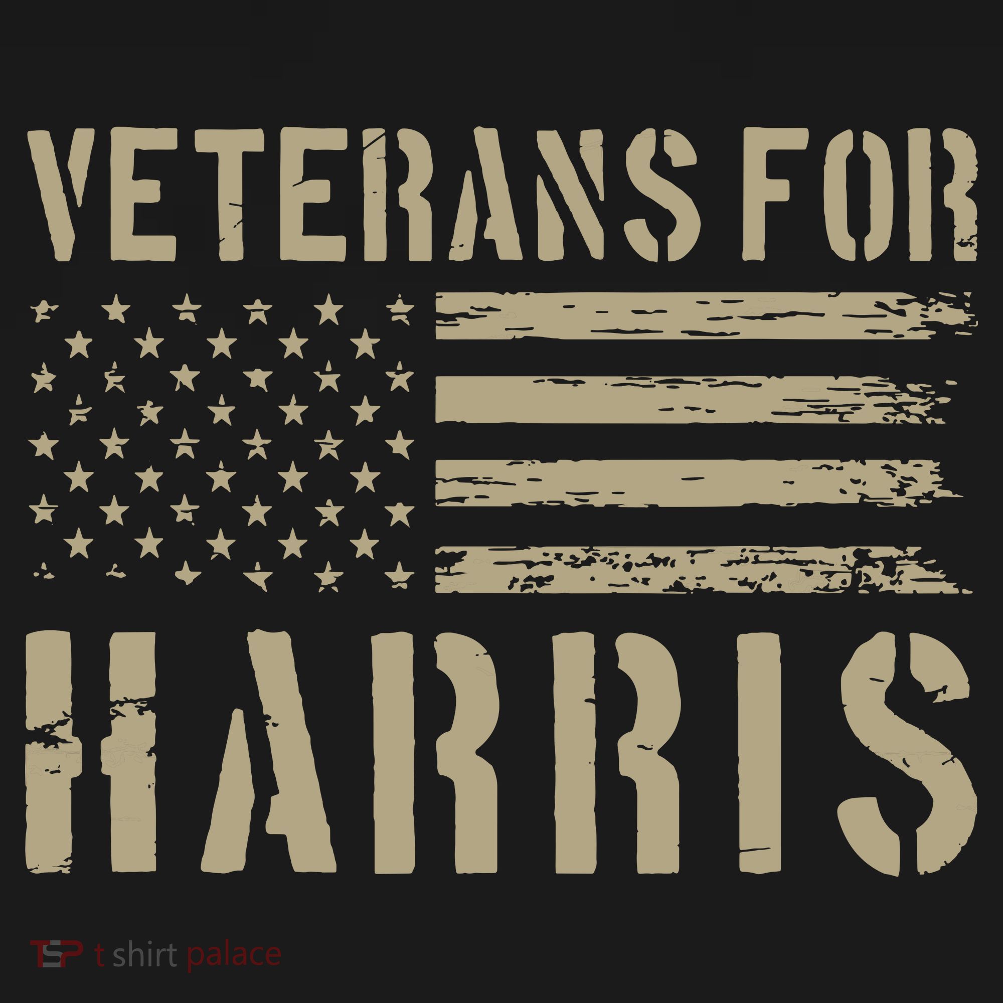 Veterans For Harris 2024 Military Vets Kamala Harris Women's Hoodie
