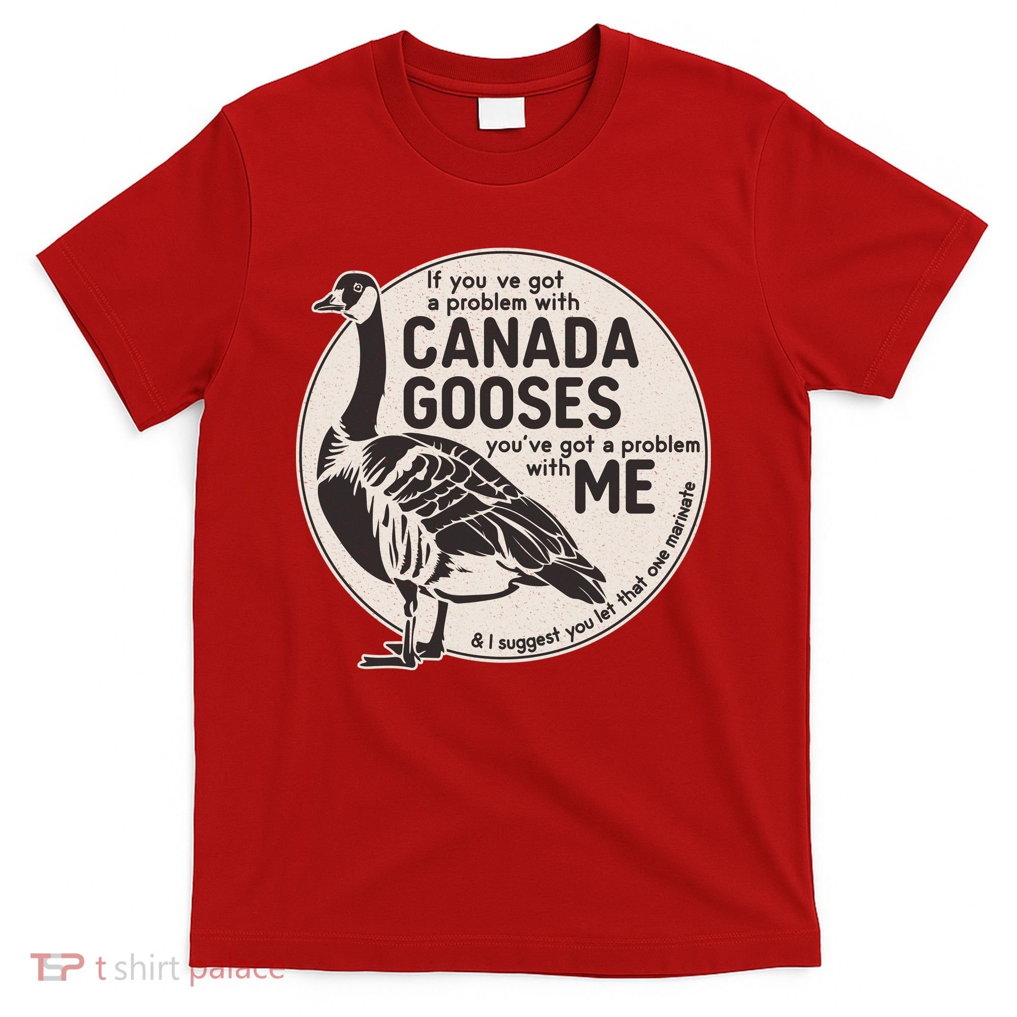Vintage Funny If You Got A Problem With Canada Gooses T-Shirt