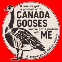 Vintage Funny If You Got A Problem With Canada Gooses T-Shirt thumb 7