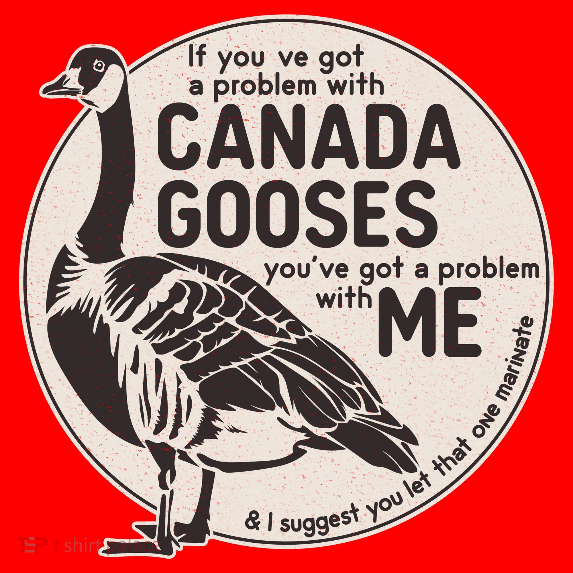 Vintage Funny If You Got A Problem With Canada Gooses T-Shirt