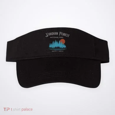 Visor
