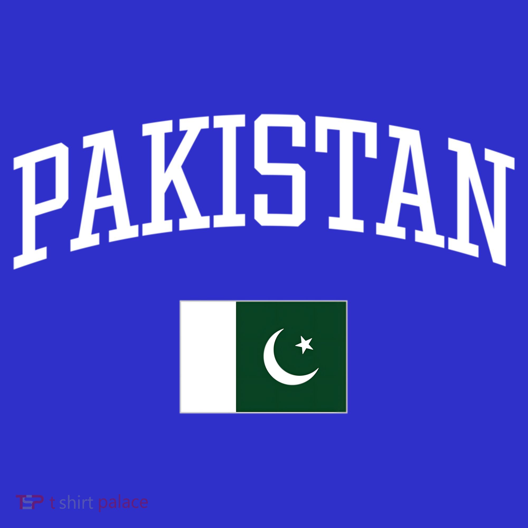 Vintage Flag Of Pakistan Love Your Country Gift T-Shirt