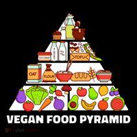 Vegan Food Pyramid Pajama Set thumb 2
