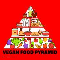 Vegan Food Pyramid Santa Hat thumb 1