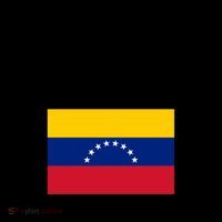 Venezuela Flag Patriotic Athletic Funny Gift Coffee Mug thumb 5