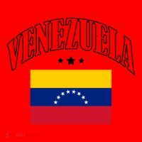 Venezuela Flag Patriotic Athletic Funny Gift Santa Hat thumb 1