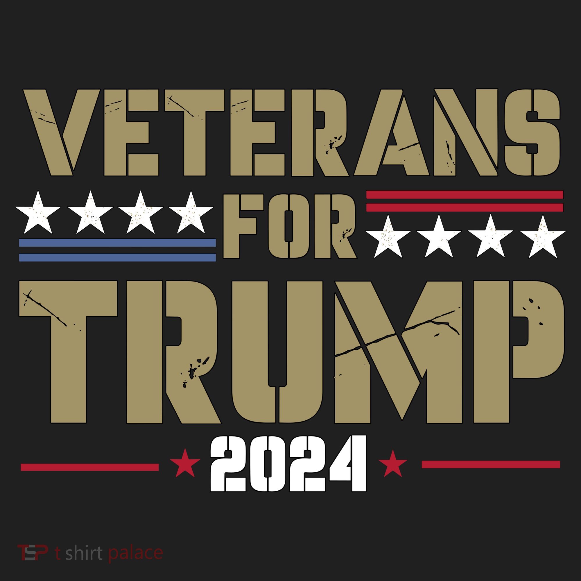 Veterans For Trump 2024 éLection 2024 Beanie