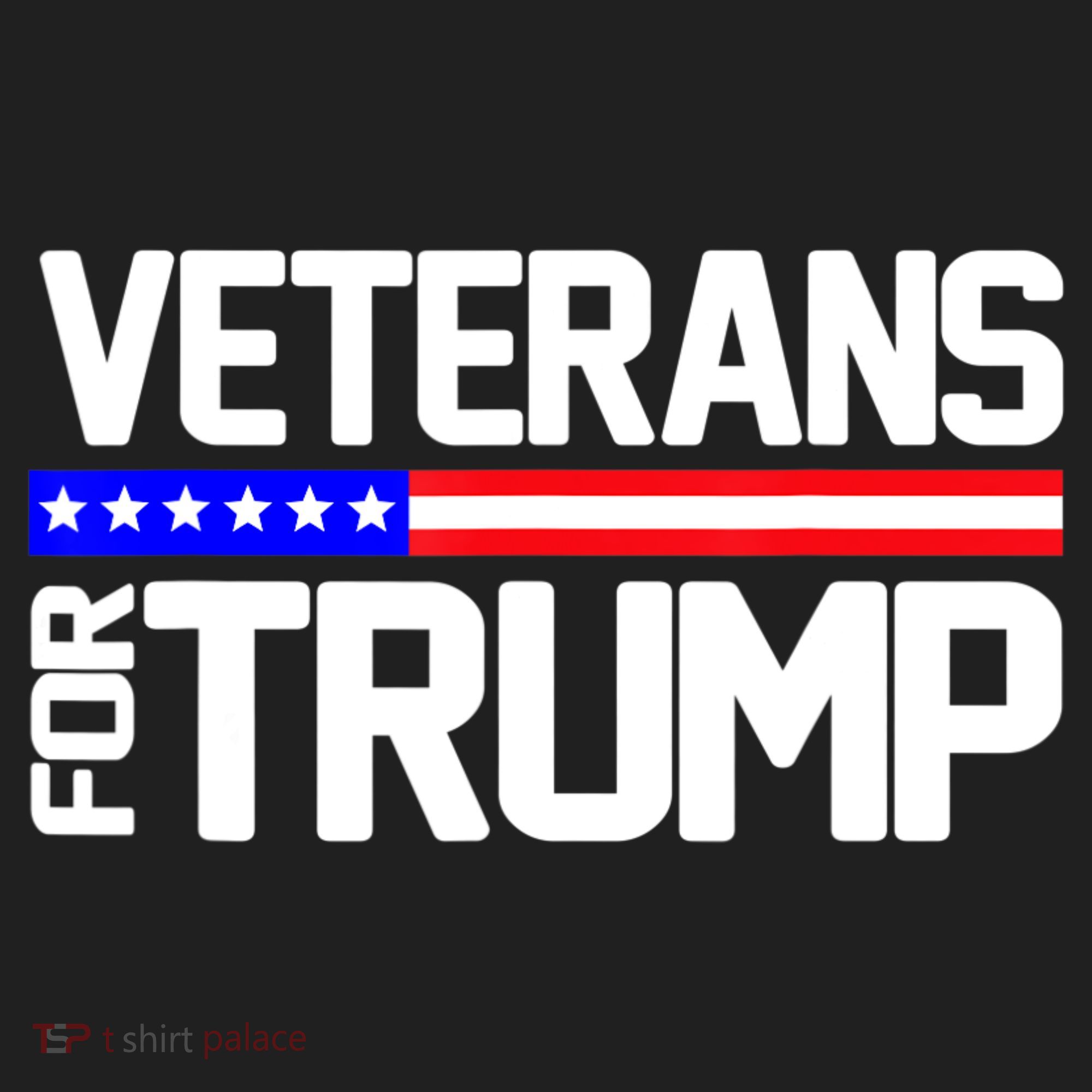 Veterans For Trump Hat
