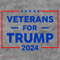 Veterans For Trump 2024 Toddler Hoodie thumb 2