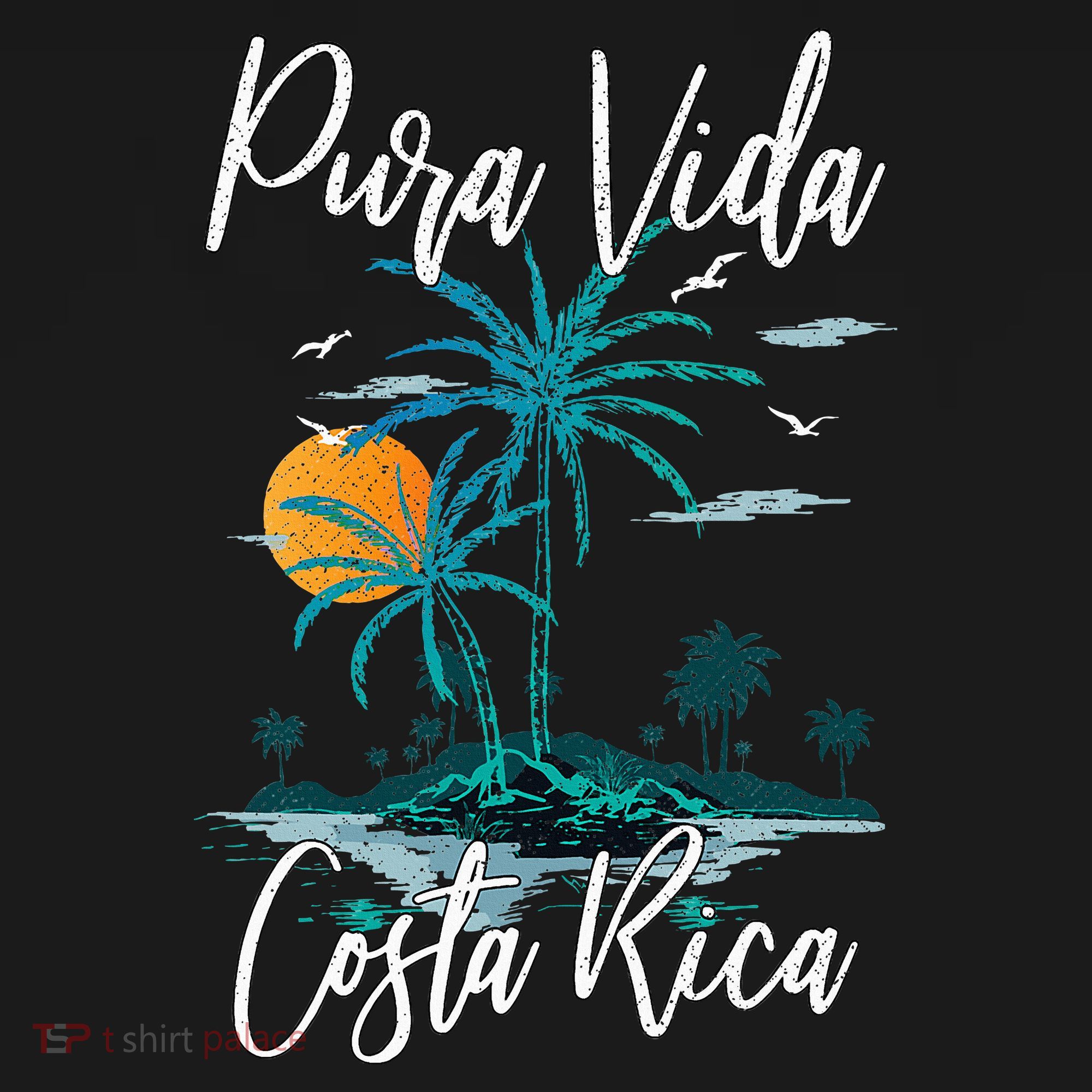 Vintage Family Vacation Costa Rica Pura Vida Beach T-Shirt