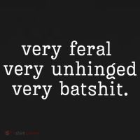 Very Feral Very Unhinged Very Batshit Ornament thumb 1