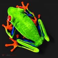 Vibrant Frog USA-Made Doggie Bandana thumb 2
