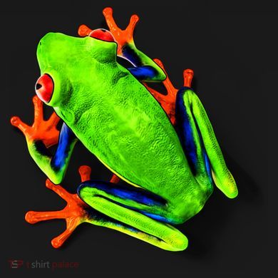 Vibrant Frog Tall Long Sleeve Shirt