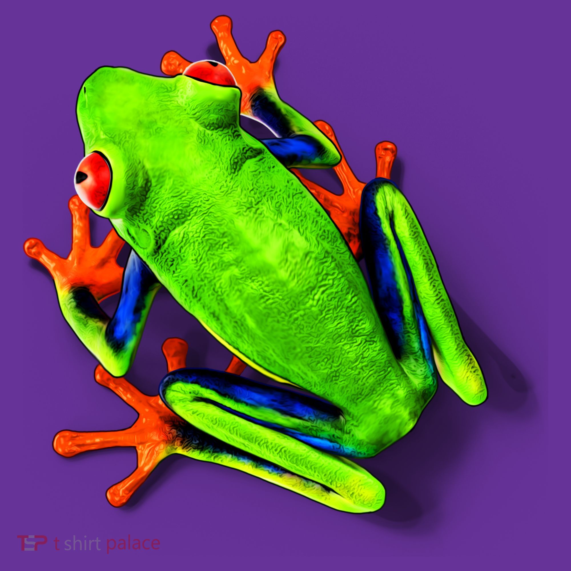 Vibrant Frog Kids Long Sleeve Shirt