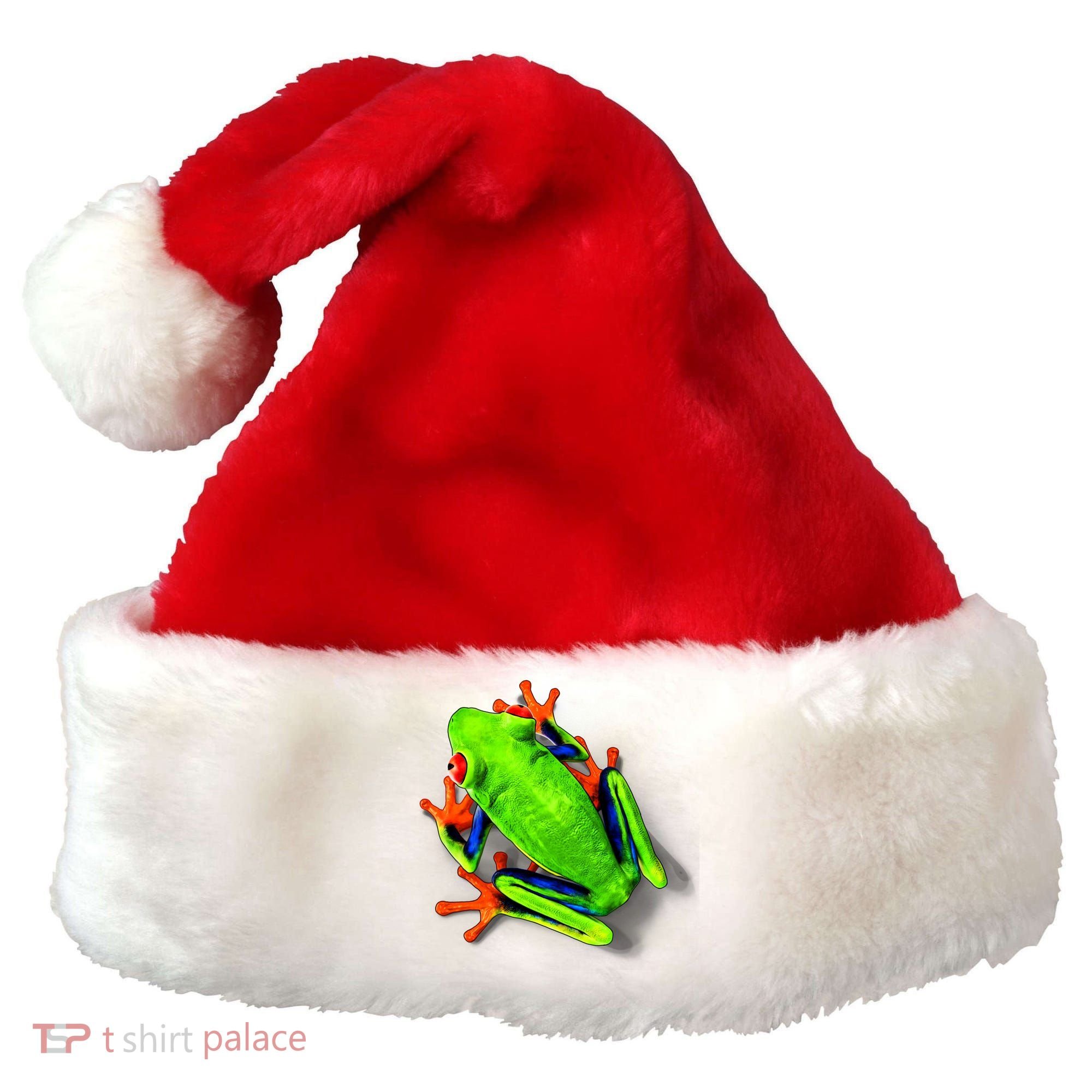 Vibrant Frog Santa Hat
