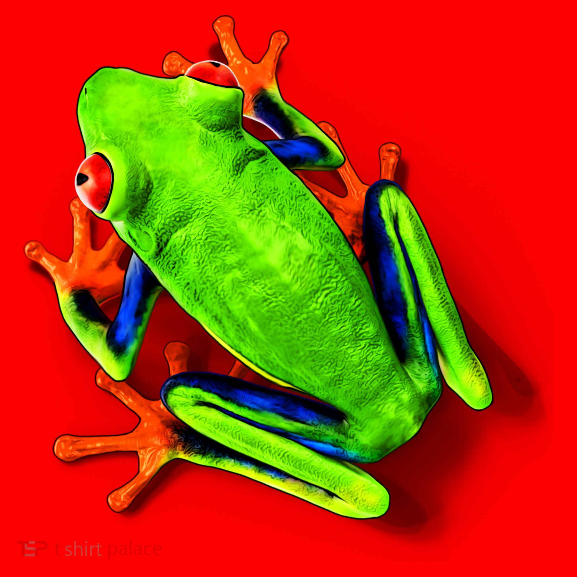 Vibrant Frog Santa Hat