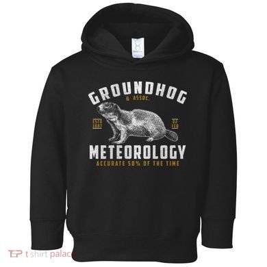 Vintage Groundhog's Day Meterology ESTD 1887 Toddler Hoodie