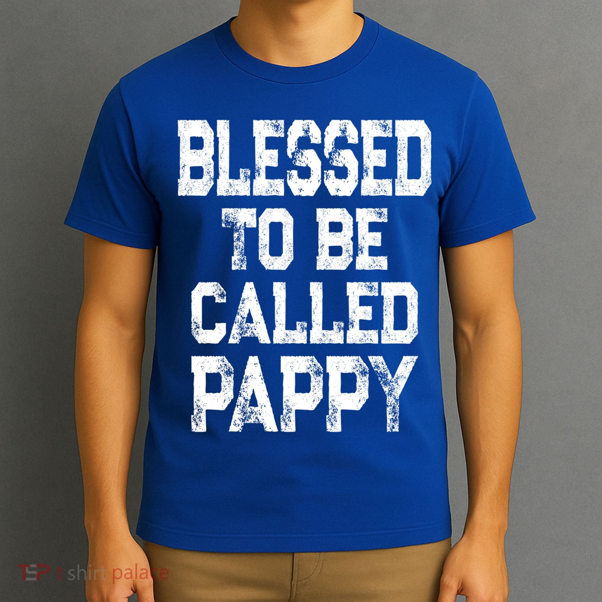 Vintage Grandpa Gift Grey Blessed To Be Called Pappy Cool Gift T-Shirt