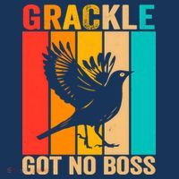 Vintage Grackle Got No Boss Funny Bird Lover  wo T-Shirt thumb 7