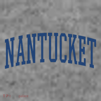 Varsity Grey Nantucket Toddler Hoodie thumb 2