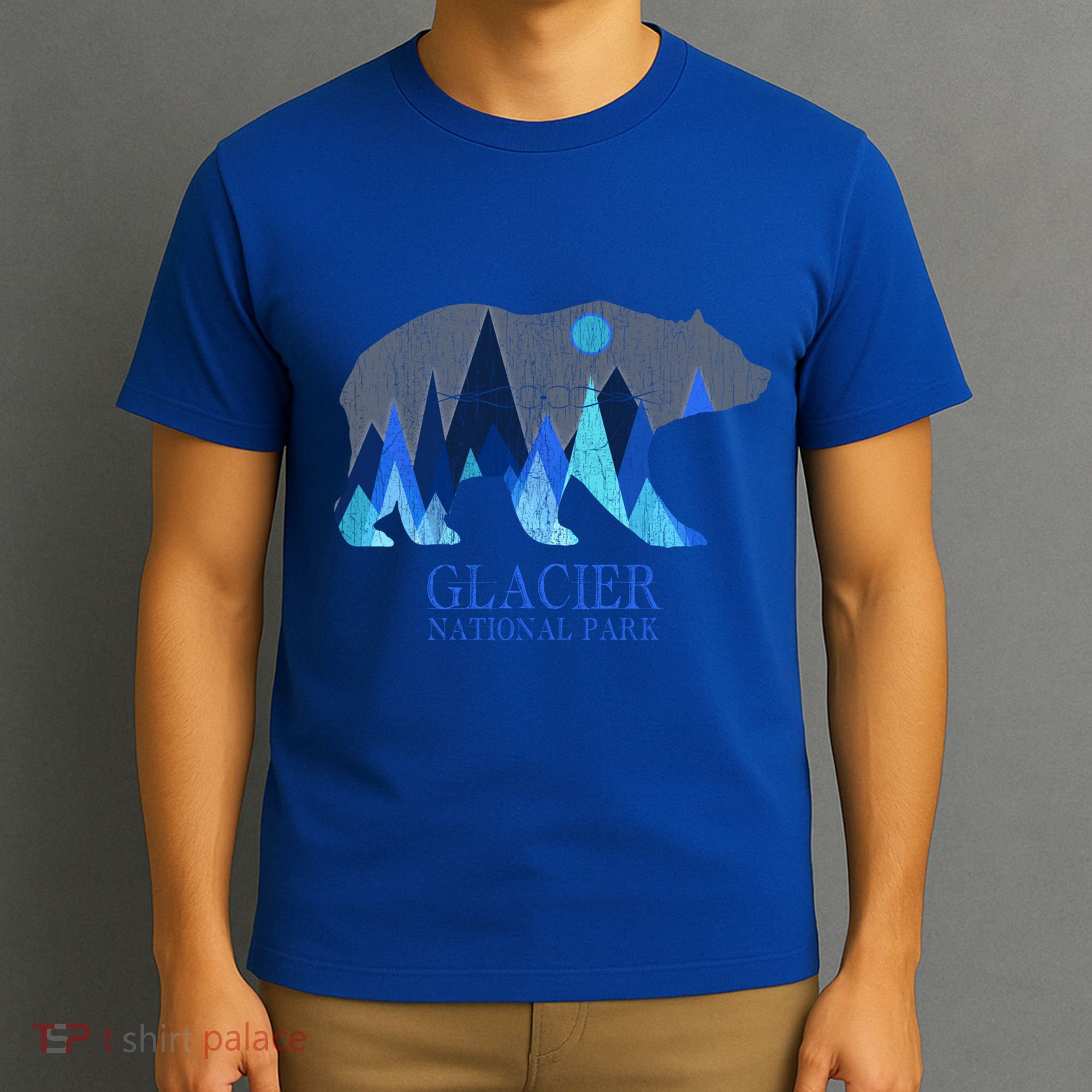 Vintage Glacier National Park Grizzly Bear Cool Gift T-Shirt