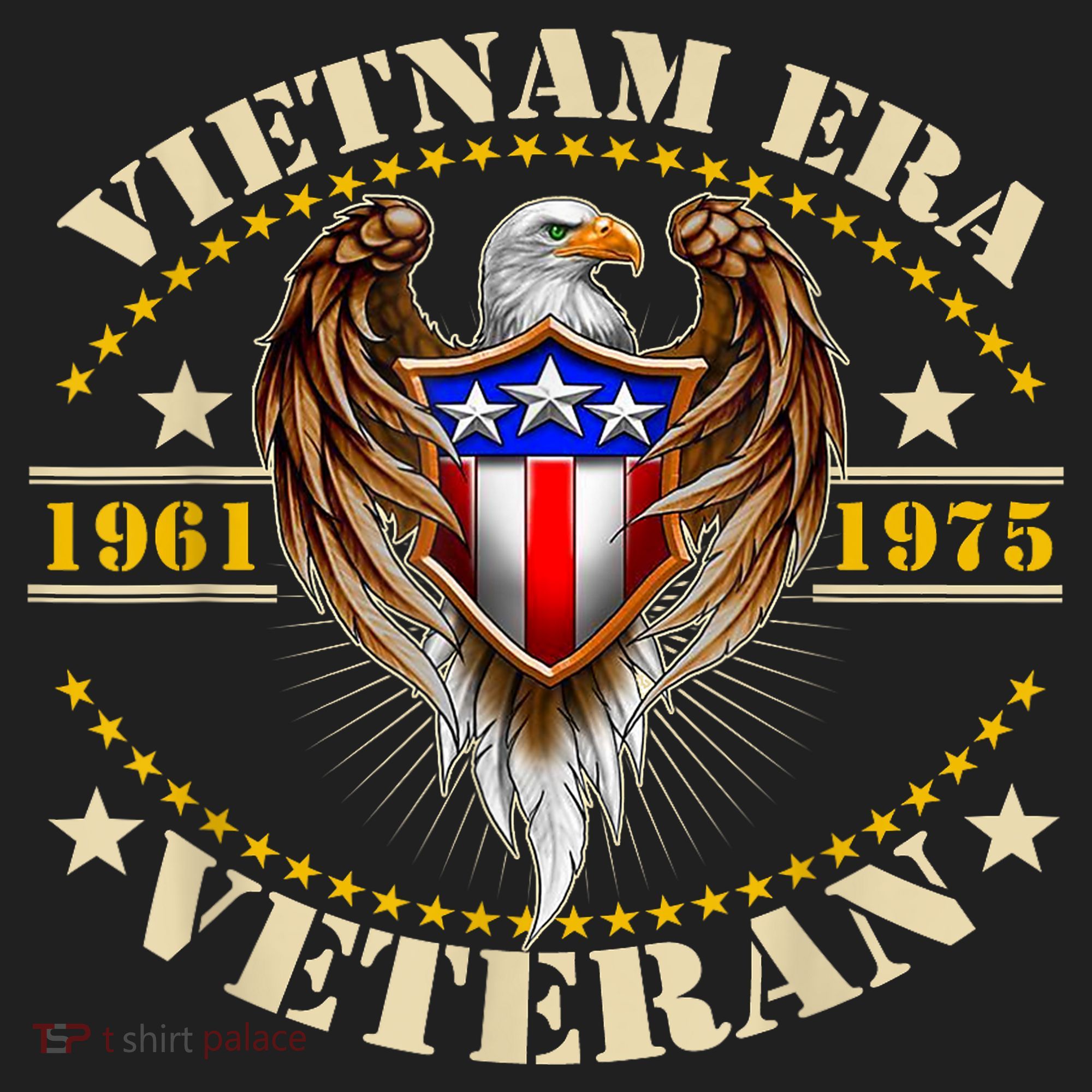 Veteran Gift Vietnam War Era Retired Soldier Hat