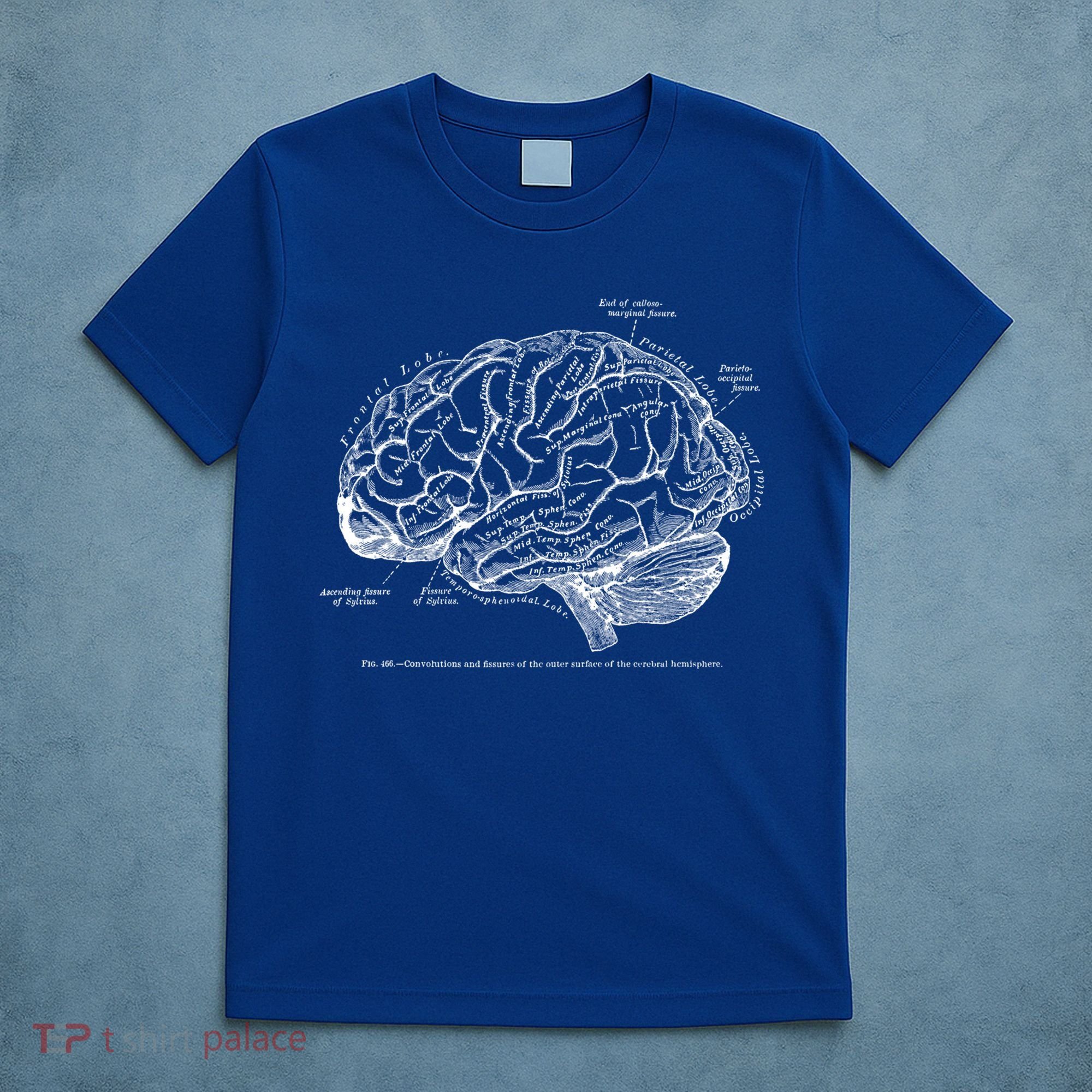 Vintage Hu Brain Anatomy Gift T-Shirt