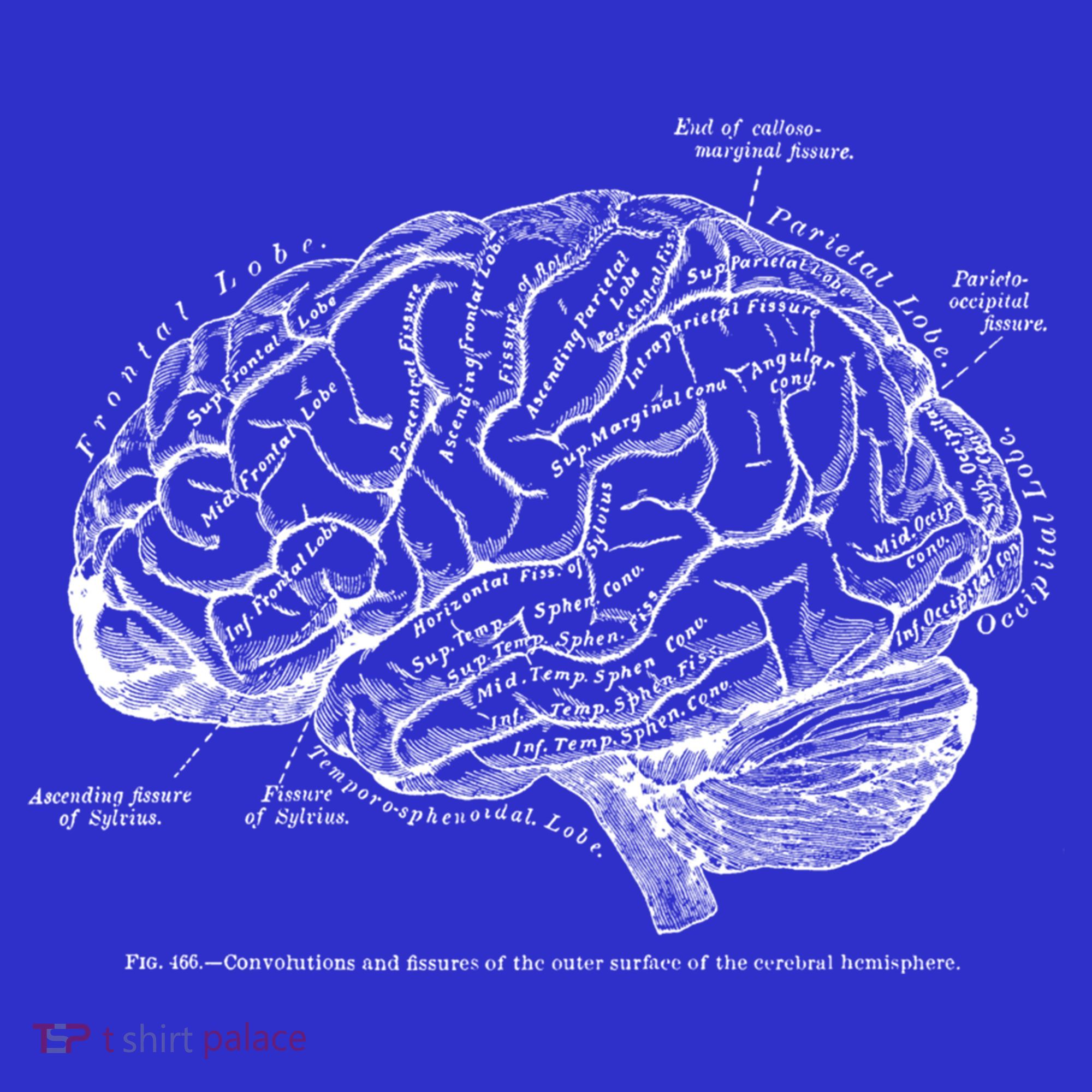 Vintage Hu Brain Anatomy Gift T-Shirt