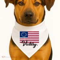 Victory America Betsy Ross Flag 1776 USA-Made Doggie Bandana thumb 1