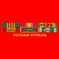 Vietnam Veteran Emblem Santa Hat thumb 1