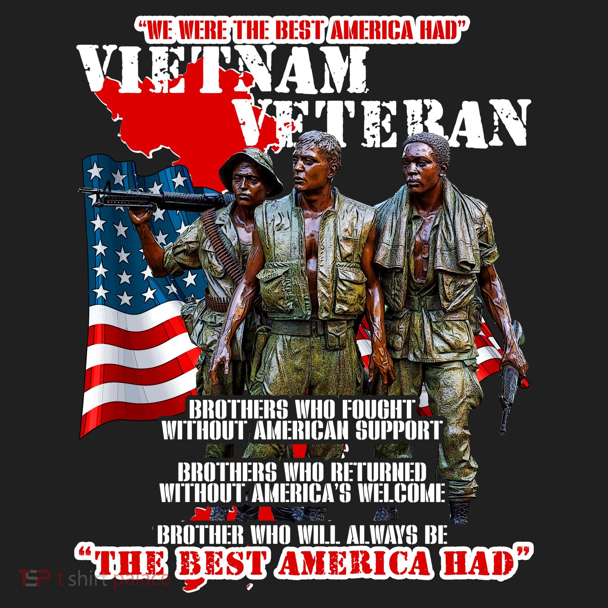 Vietnam Veteran The Best America Had Beanie