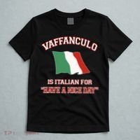 Vaffanculo Is Italian For Have A Nice Day T-Shirt thumb 5