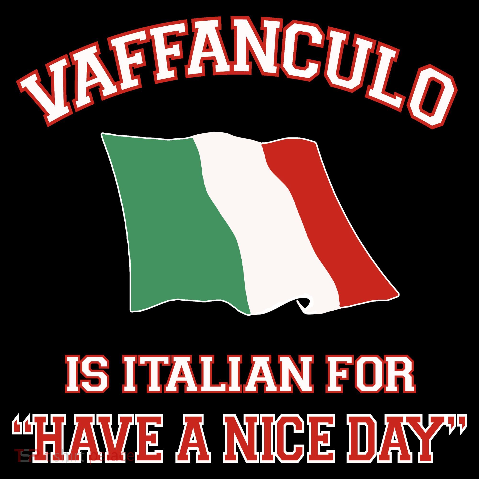 Vaffanculo Is Italian For Have A Nice Day Bucket Hat