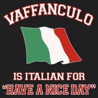 Vaffanculo Is Italian For Have A Nice Day Beanie thumb 2