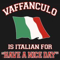 Vaffanculo Is Italian For Have A Nice Day Ornament thumb 1