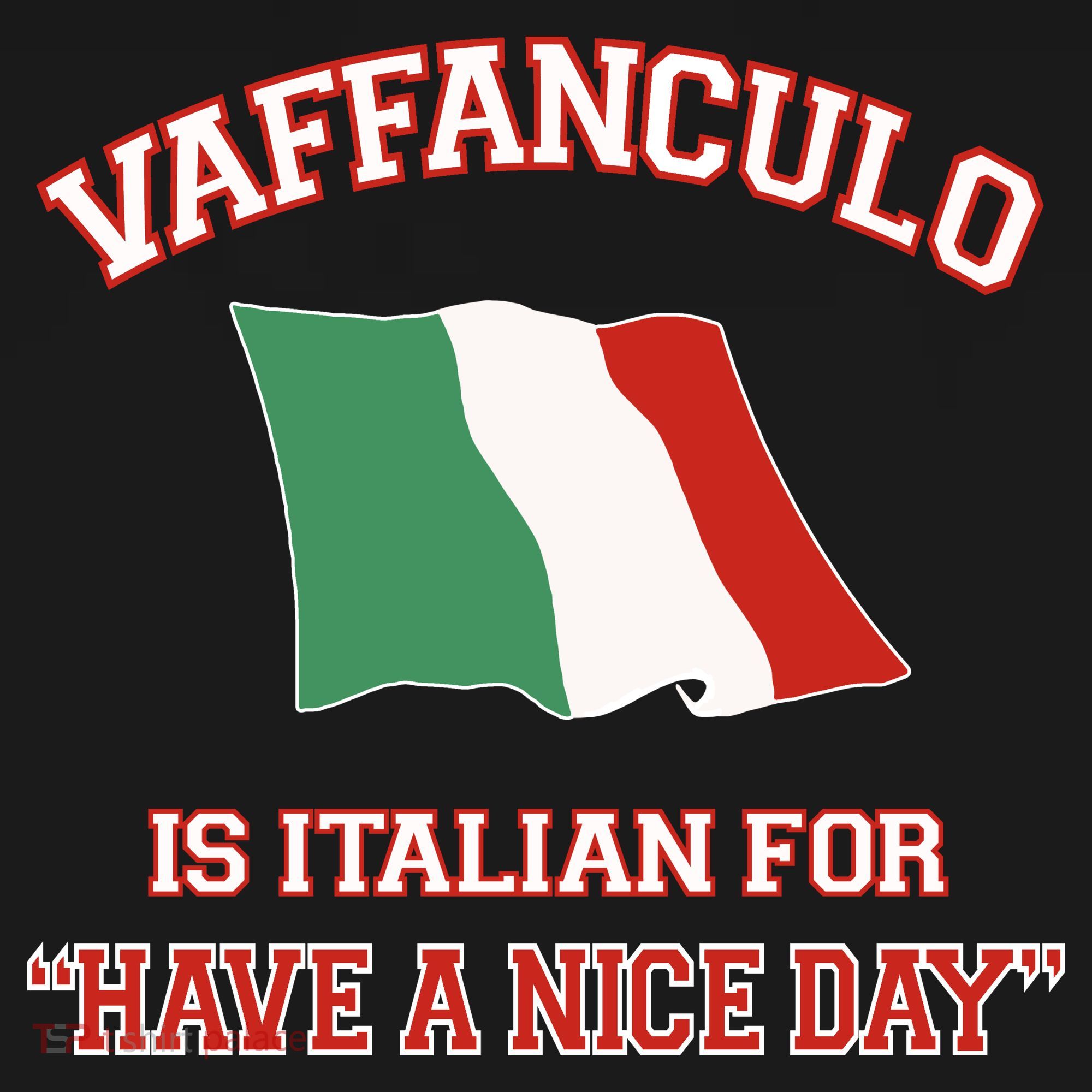 Vaffanculo Is Italian For Have A Nice Day Ornament