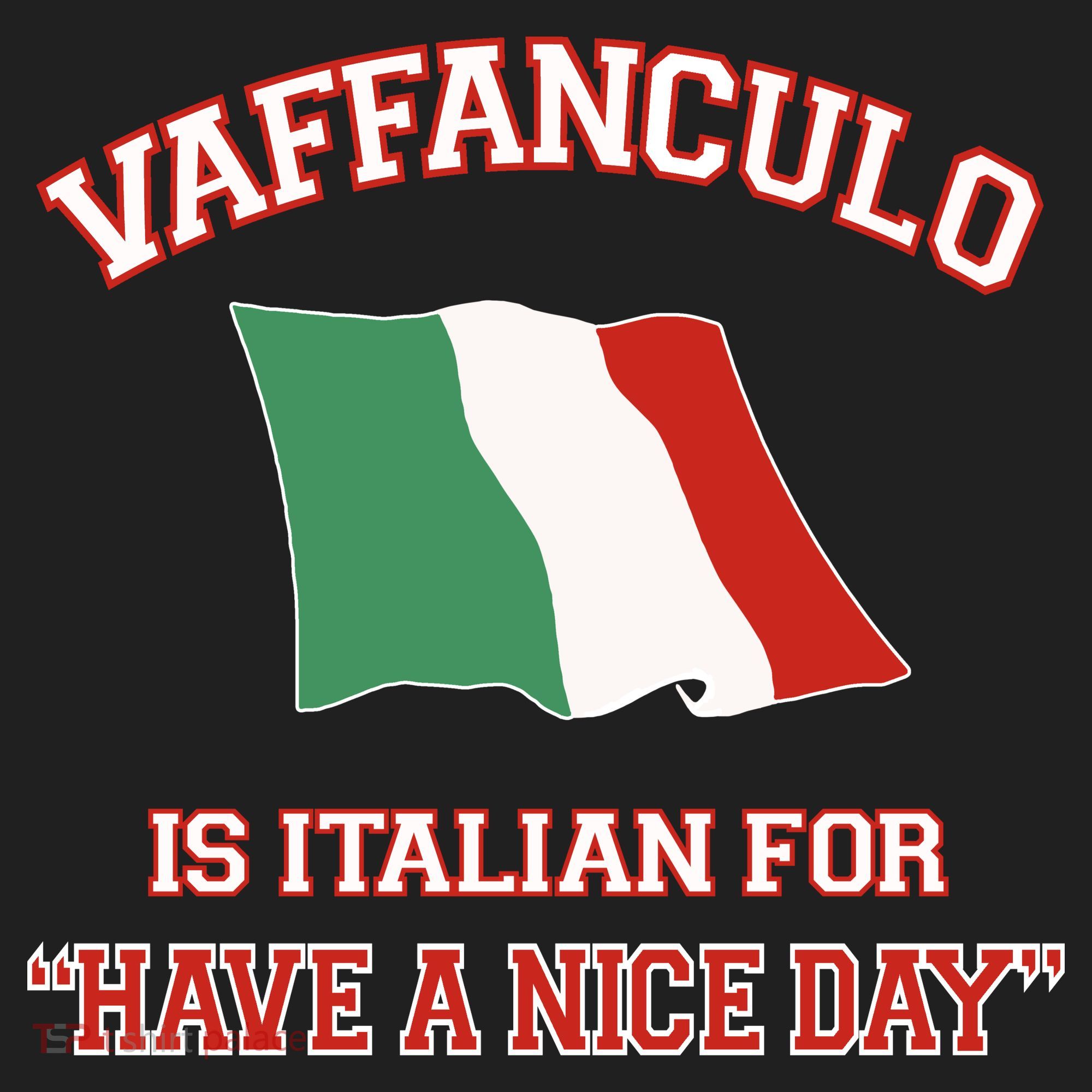 Vaffanculo Is Italian For Have A Nice Day Hat